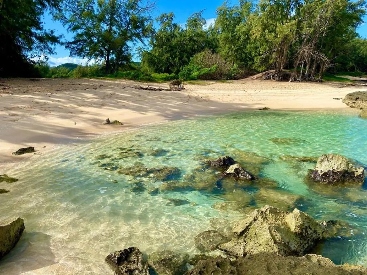 Dom wakacyjny Glorious Beachfront High End Villa Kahuku